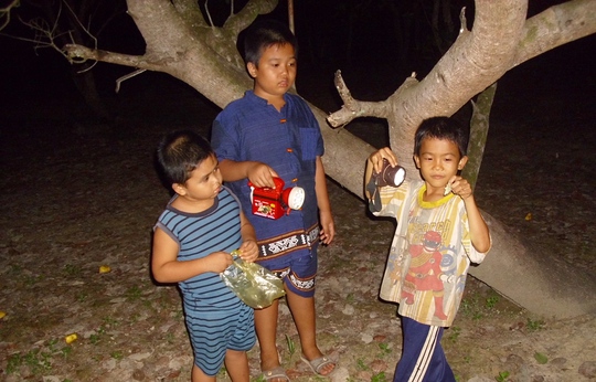 Khi mùa ve sầu rộ lên (từ tháng 2 đến tháng 5 âm lịch) trẻ con thường bắt ve sầu làm thức ăn và cho người lớn làm mồi nhậu vì nhiều chất đạm.