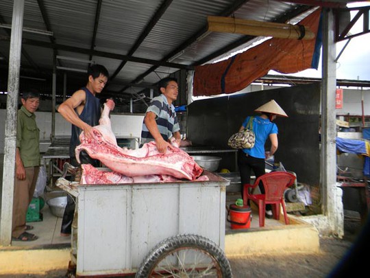 Giá thịt heo khu vực Đông Nam Bộ chưa chạm đỉnh lịch sử nhờ được bổ sung nguồn từ miền Bắc