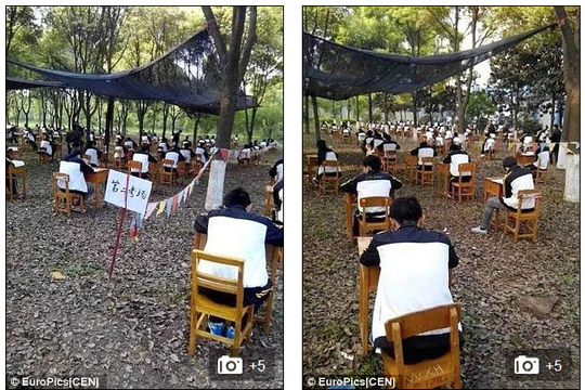 Trung Quốc: Sinh viên vào rừng làm bài thi
