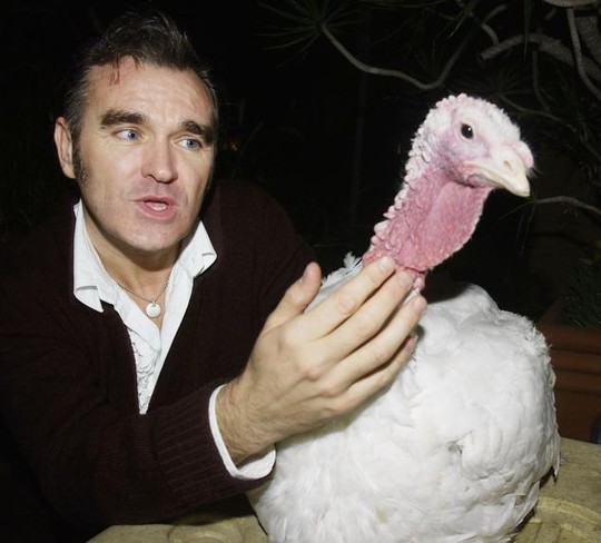 
Morrissey so sánh ăn thịt động vật với ấu dâm