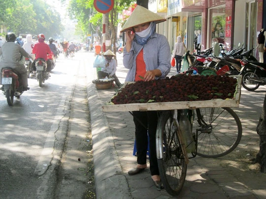 Quả thanh mai được bán rong trên đường phố Hà Nội