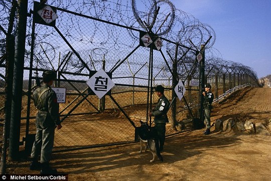 Hàng rào ngăn cách khu vực DMZ giữa 2 miền Triều Tiên. Ảnh: Daily Mail