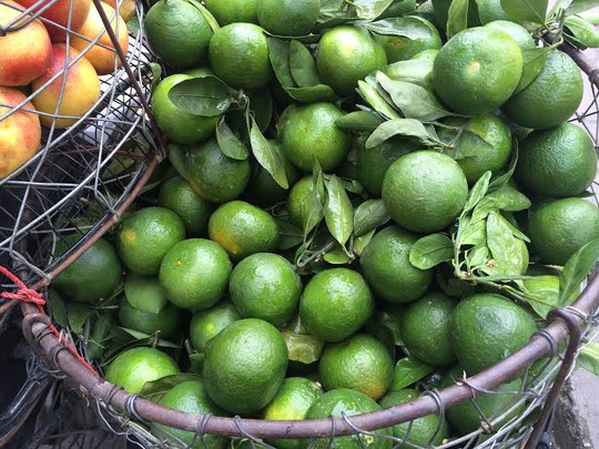 Cam Trung Quốc, cam Hà Giang, cam Hưng Yên, đội lốt, gắn mác, cam xanh, giá rẻ, cửa khẩu Tân Thanh, cam-Trung-Quốc, cam-Hà-Giang, cam-Hưng-Yên, đội-lốt, gắn-mác, cam-xanh, giá-rẻ, cửa-khẩu-Tân-Thanh