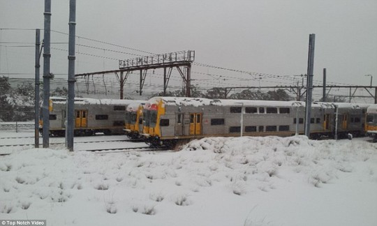 Trains have also been affected with lines between Sydney and the Blue Mountains closed until further notice 