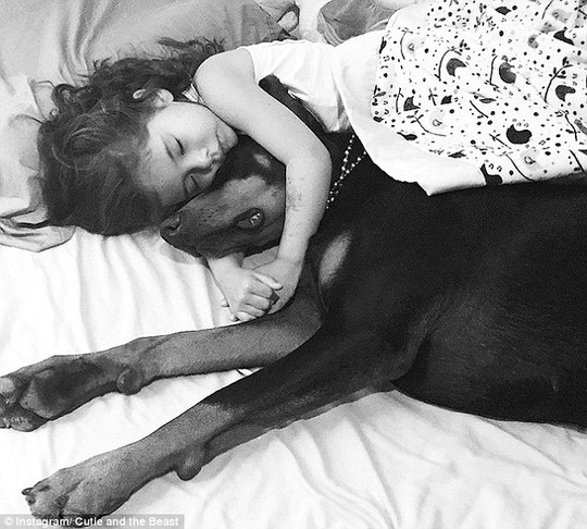 Cuddle time: The Seattle preschooler and her Dobermans friendship is documented on her mother Taras Instagram account, Cutie and the Beast