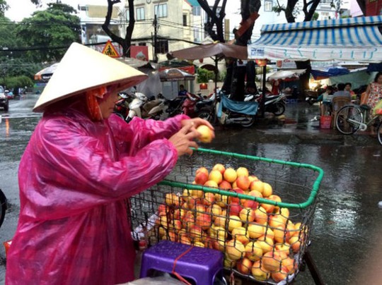 Trái đào có xuất xứ từ Trung Quốc được bày bán tại chợ Nguyễn Tri Phương (TP.HCM) - Ảnh: DŨNG TUẤN