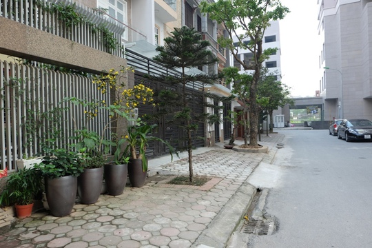 Khu vực xảy ra cuộc ẩu đả của hai chú chó (phường Dịch Vọng, quận Cầu Giấy, Hà Nội)