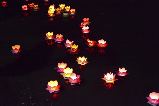 Hàng ngàn ngọn hoa đăng lung linh trên sông Sài Gòn. Ảnh: Thăng Bình.