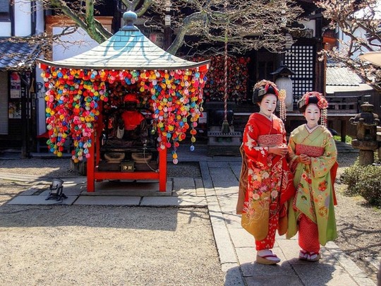 Các geisha thường xuyên xuất hiện quanh thành phố.