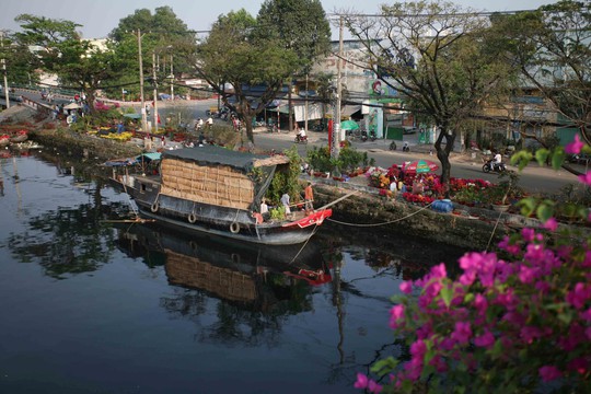 Đa số các loại cây kiểng ở đây đều do các ghe xuống từ miền Tây mang lên. Hoa được bày bán dọc theo bến Bình Đông, kéo dài hơn 3 km