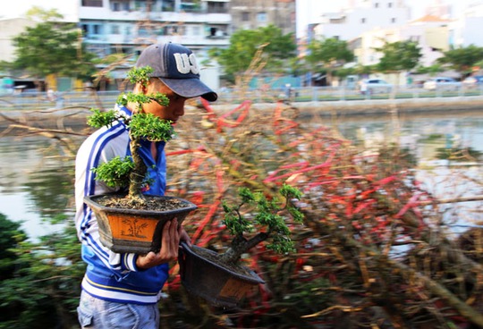 Các loại hoa, cây cảnh tại đây có giá bán vừa phải. Trong ảnh, những chậu bonsai có giá chưa đến 100.000 đồng