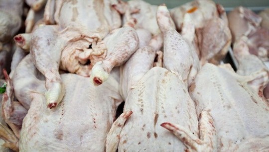  Lượng thịt gà đông lạnh nhập khẩu 6 tháng đầu năm 2015 tăng so với cùng kỳ năm ngoái. Ảnh minh họa