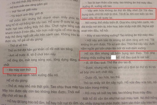 Truyện cổ tích tục tĩu là sách in lậu?