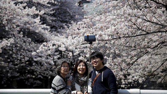 Nhiều người thích thú chụp hình với hoa anh đào. Ảnh: Reuters