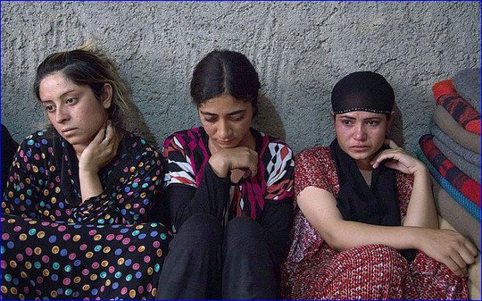 Người tị nạn Yazidi ở Dohuk, thủ phủ tỉnh Dohuk - Iraq (Nguồn: REX)