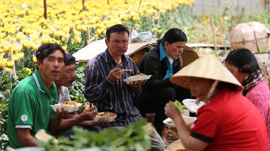 Nông dân ăn cơm ngay tại vườn để kịp đóng hoa đưa đi. Ảnh: MAI VINH
