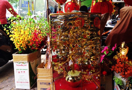 Cây lá ngọc cành vàng xuất xứ từ Thái Lan có giá đến hơn 1 triệu đồng.