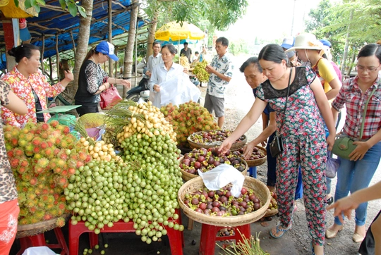 Dâu da còn được bày bán cùng với các loại trái cây khác cho khách đi đường và những điểm du lịch