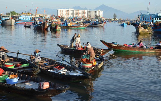 Ghe nhỏ tấp nập chở cá từ tàu vào bờ ở cảng cá Thọ Quang