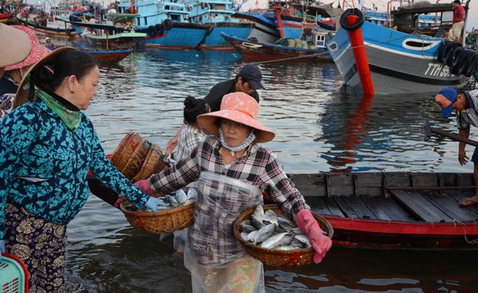 Và bê những rổ cá vào bờ