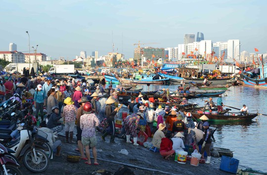 Hàng trăm thương lái tấp nập ở cảng cá buổi sáng