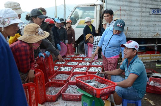 Thu mua hải sản các loại