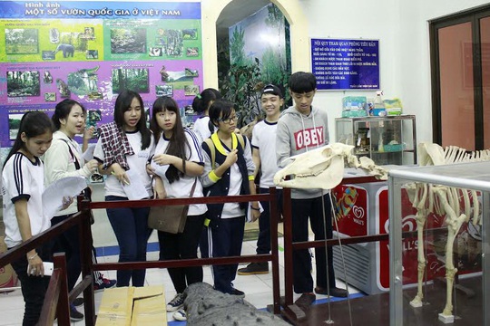 Học sinh Trường THPT Lê Thị Hồng Gấm (quận 3, TP HCM) trong giờ học ngoại khóa ở Thảo Cầm Viên Ảnh: HOÀNG TRIỀU