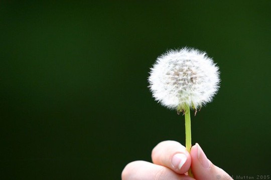 Uất nghẹn nỗi đau chồng vừa mất, gia đình chồng đòi lại nhà