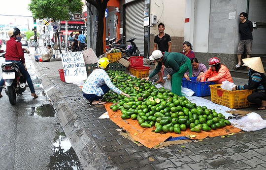 Bơ Việt vào mua thu hoạch rộ được bày bán khắp các lề đường với giá rẻ