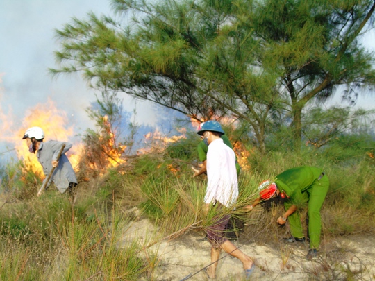 Cháy lớn ở rừng phòng hộ ven biển Bảo Ninh khiến hàng chục hecta rừng bị thiêu rụi