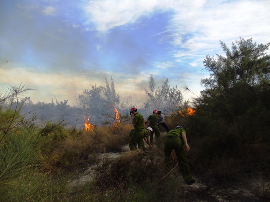 Cháy lớn 5 giờ, hàng chục hecta rừng phòng hộ bị thiêu rụi