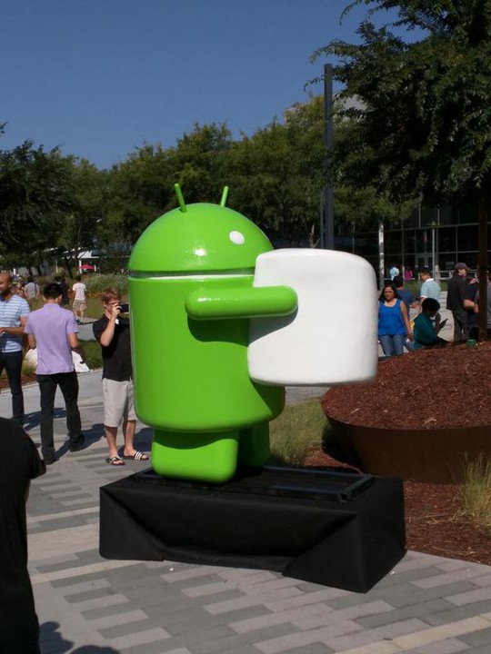 Biểu tượng của phiên bản Android Marshmallow.