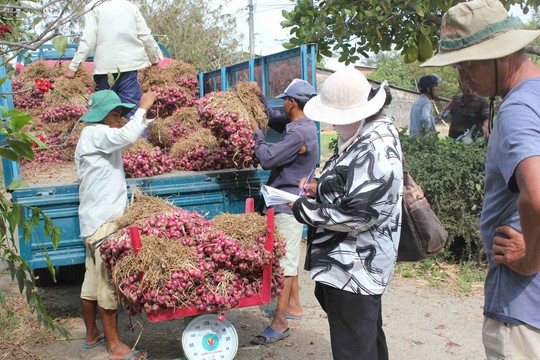 Hệ thống siêu thị đã vào cuộc thu mua