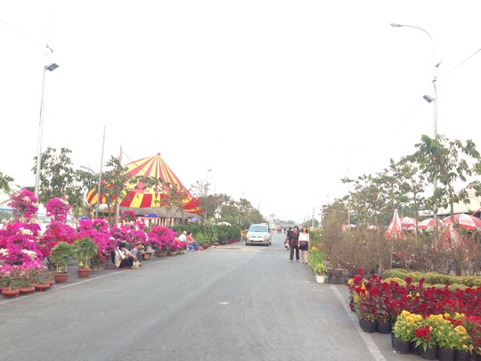 Rộn ràng lễ khai mạc chợ hoa Xuân Bình Điền 2015