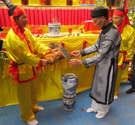 dâng kim kê tế thần