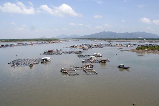 Long Sơn thu hút du khách bởi các món hải sản tươi ngon từ hàu, tôm, cá được nuôi tại làng bè