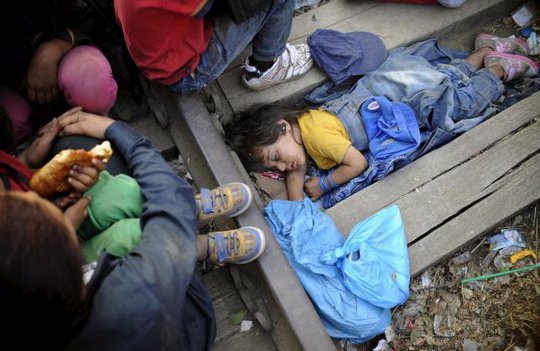 Một cô bé Syria ngủ tại biên giới Macedonia. Ảnh: Reuters