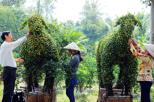 Nghệ nhân đang chăm sóc cho hai chú dê kiểng để chuẩn bị đưa ra trưng  bày tại hội chợ Hoa Xuân Bình Điền