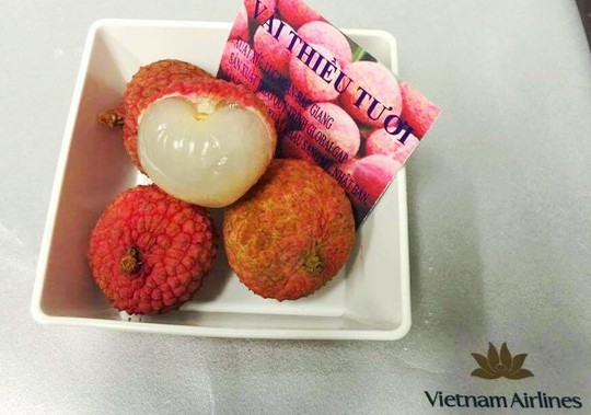 Quả vải tươi được phục vụ trên suất ăn của Vietnam Airlines Quả vải tươi được phục vụ trên suất ăn của Vietnam Airlines