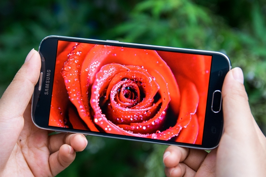 Galaxy S6 có khả năng tái hiện màu sắc rất ấn tượng