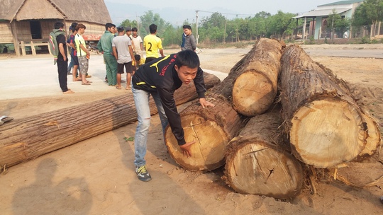 Số gỗ bị lâm tặc bỏ lại tại nhà rông làng Kon Sơ Lal