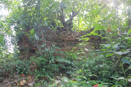
Di tích tháp đôi Liễu Cốc ở Huế sụp đổ không còn nguyên dạng, cây cối và cỏ dại bao quanh
