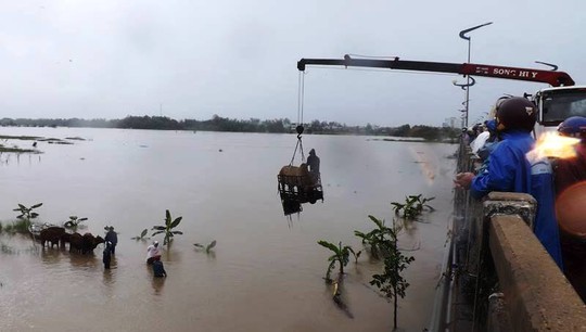 
Lực lượng cứu hộ mang cả xe cẩu đến cầu Đà Rằng để giải cứu các đàn bò đang bị ngập ở TP Tuy Hòa (Ảnh: Q.T)
