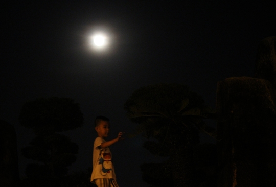 Một đưa trẻ được bố mẹ đưa ra công viên Bạch Đẳng để ngắm siêu trăng.