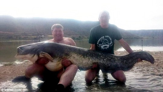 
Con cá trê nặng 90 kg khiến ông vô cùng hạnh phúc Trevor Hart
