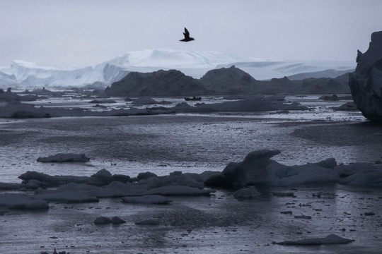 Nhiệt độ tại Bắc Cực tăng cao kỷ lục vào Giáng sinh năm nay Ảnh: AP