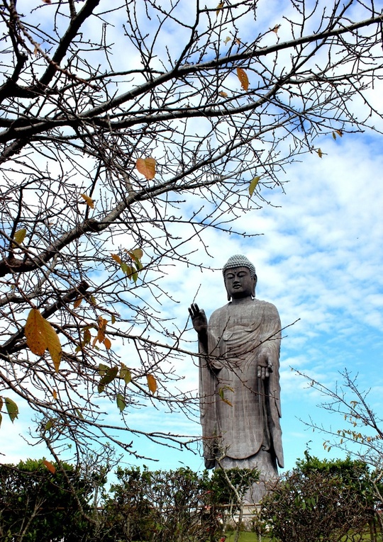 
Xung quanh là công viên trồng nhiều loại hoa khác nhau theo mùa: tùng, anh đào, cánh bướm… Tại đây, du khách có thể đi dạo vườn hoa và cho cá ăn…
