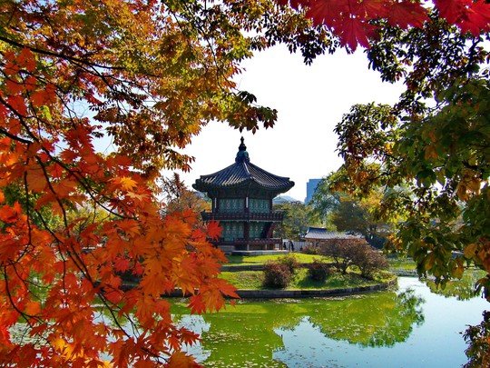 Lãng mạn chùm tour mùa thu