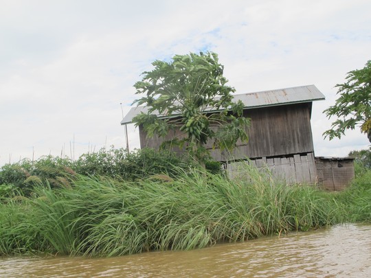 Những nghề độc, lạ đến khó tin ở Inle Lake-Myanmar