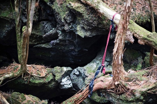 
Khung cảnh chết chóc bên trong khu rừng Aokigahara. Ảnh: The Straw Hat Backpacker, Japan Times
